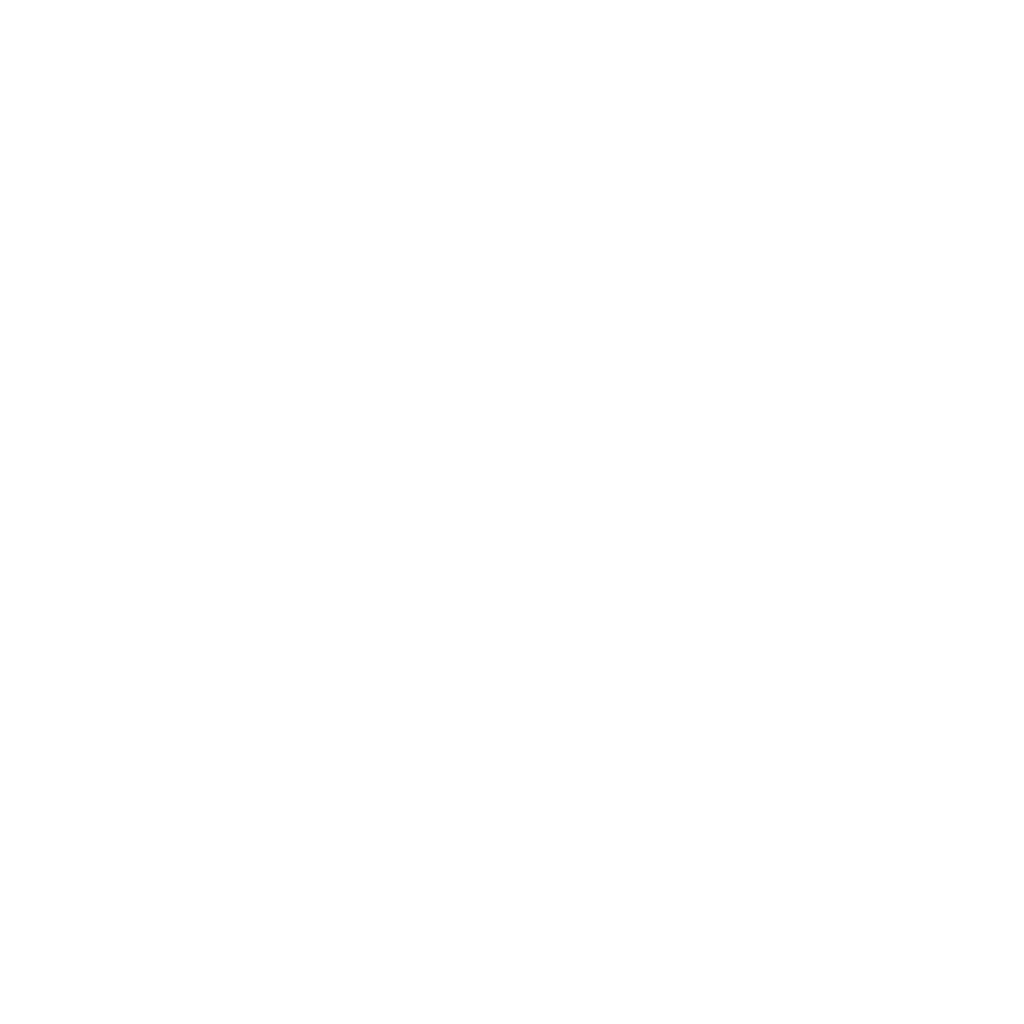 Roadrunner Signs Logo