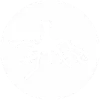 roots