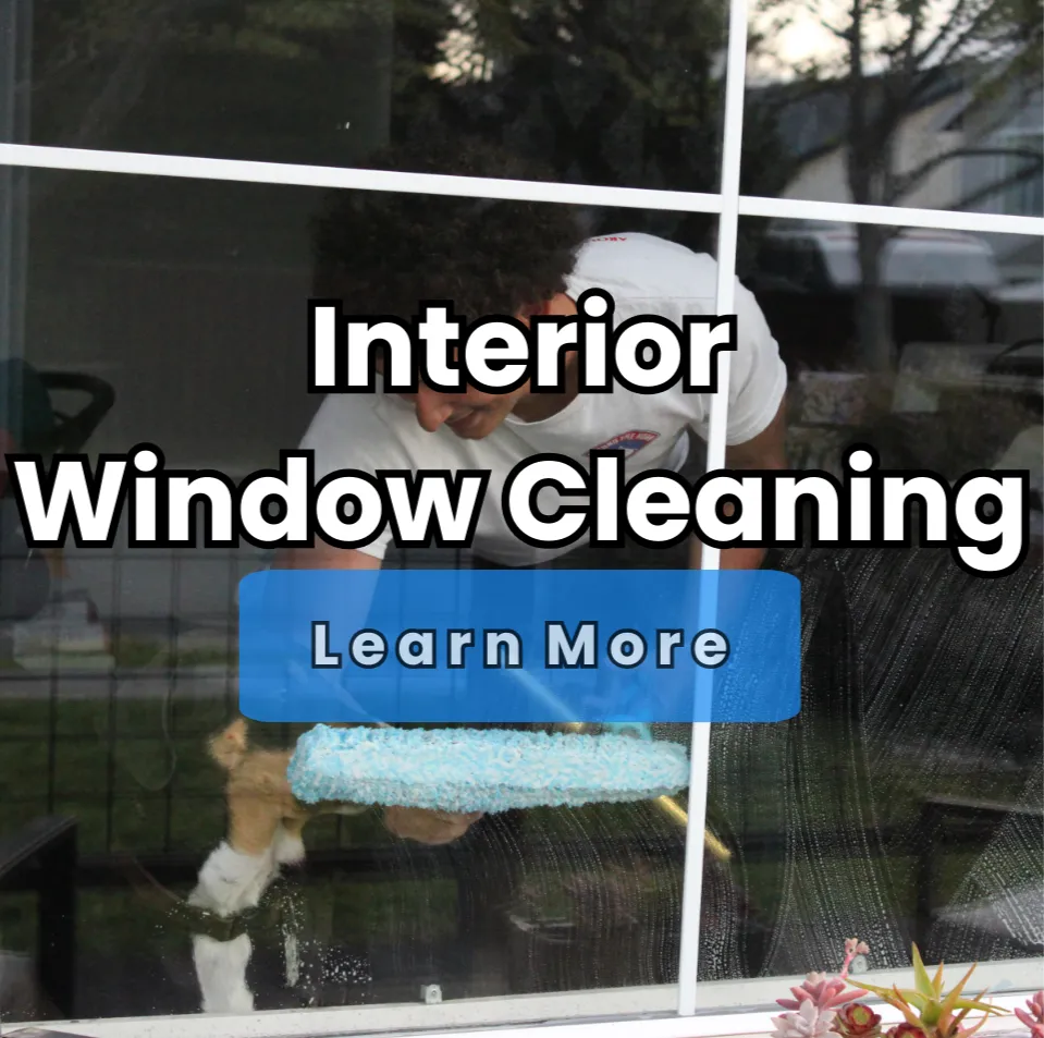 Interior Window Cleaning