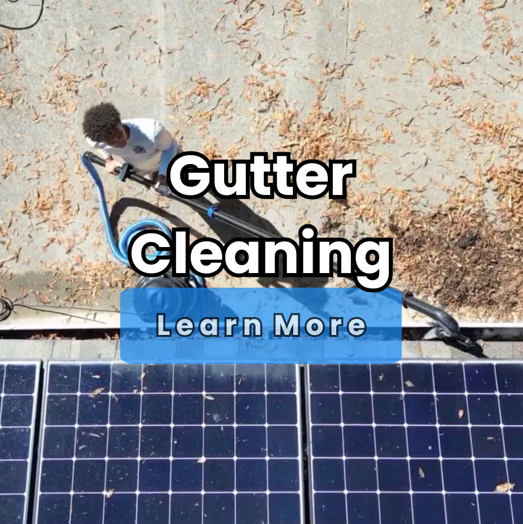 Gutter Cleaning