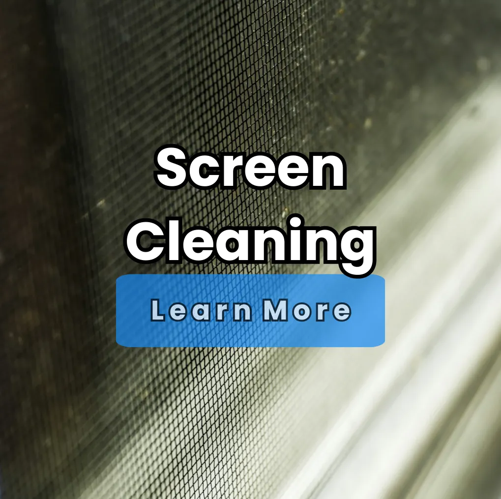 Screen Cleaning