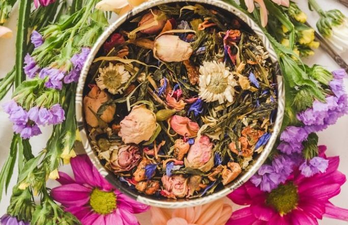 Local community participating in a health and fitness workshop