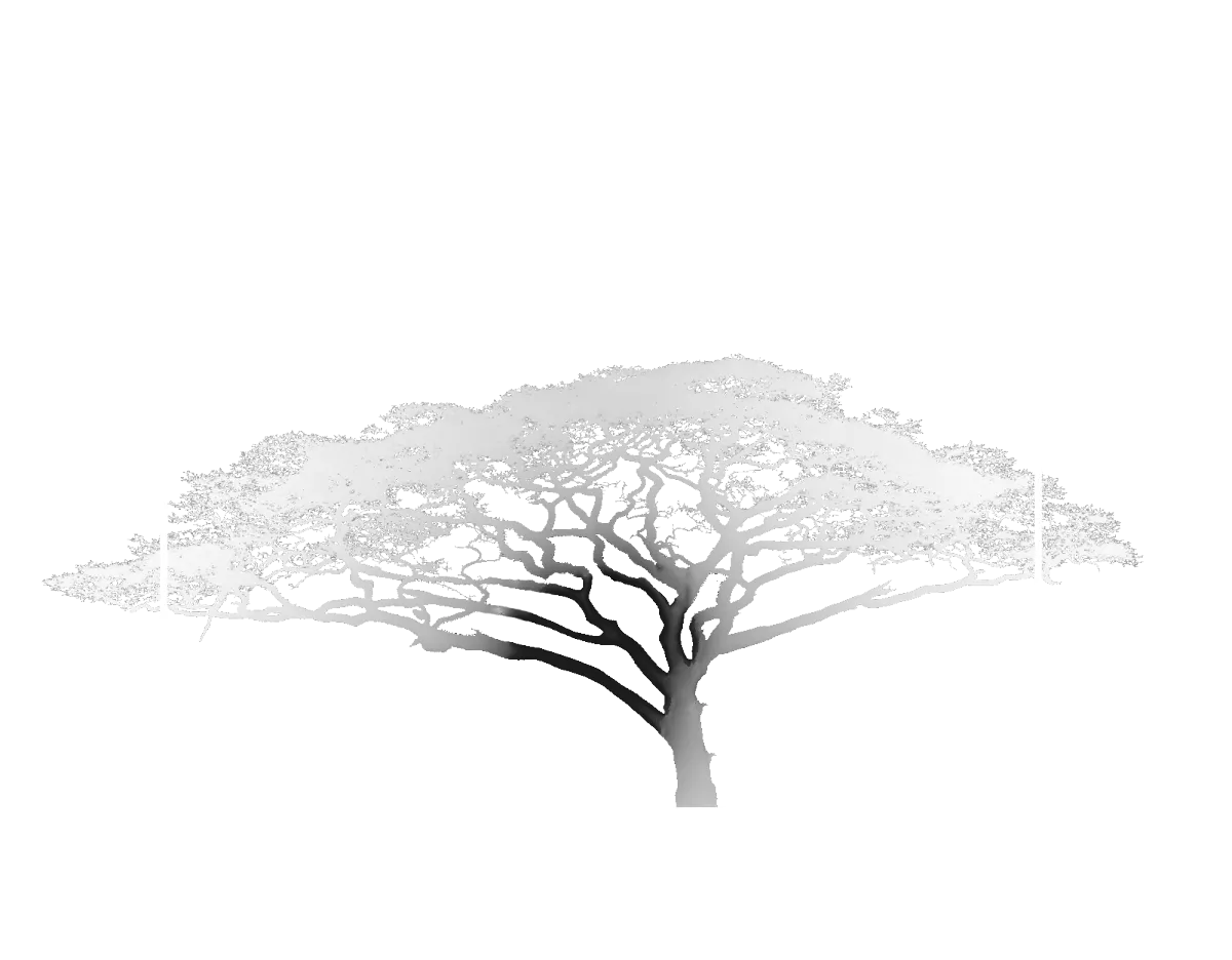 Prophecy Revealed Logo