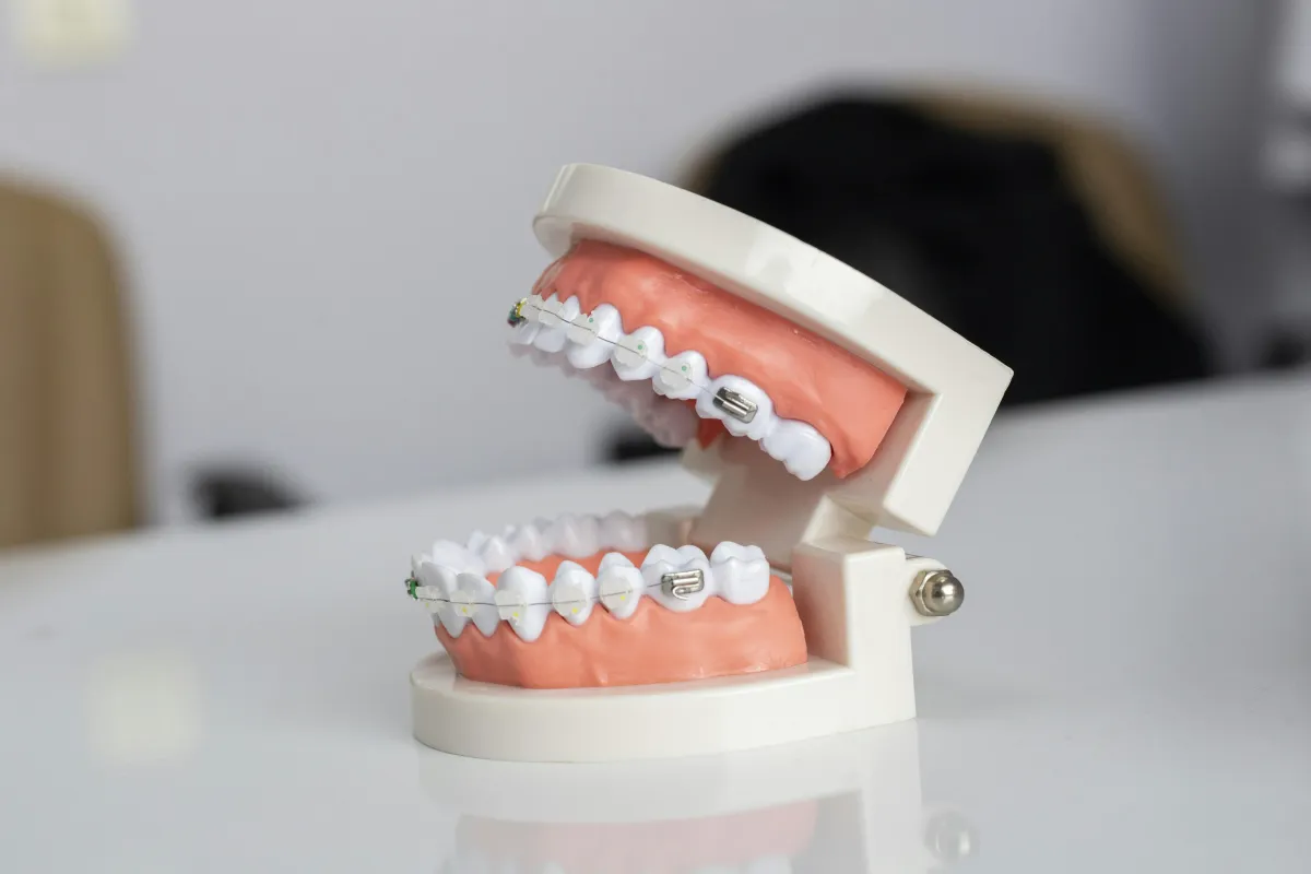 teeth