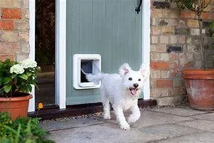 Request A PET DOOR By The Handyman Toolbox