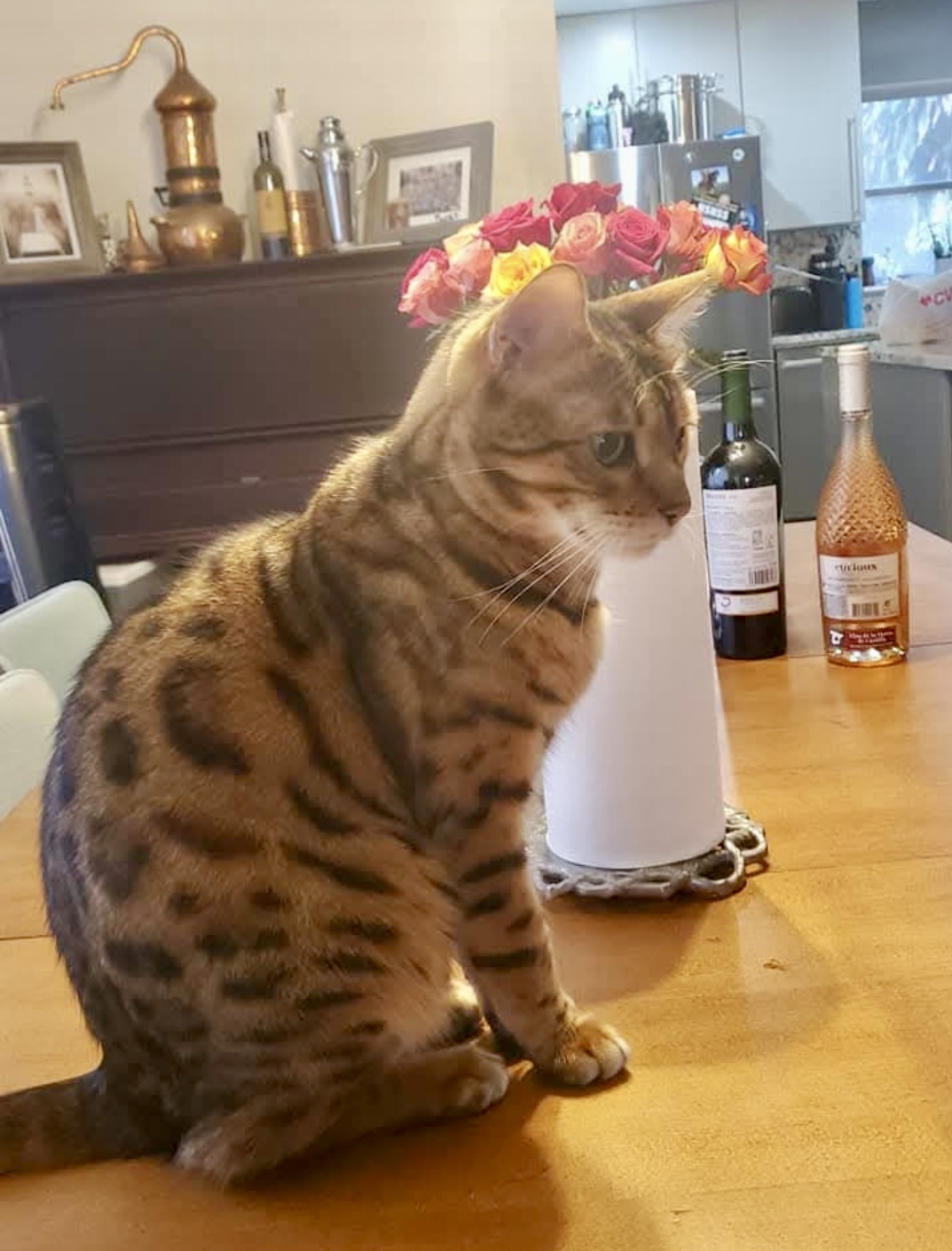 Here’s a short version:  **Alt Text:** *Bengal cat sitting on a table with flowers and wine bottles.*