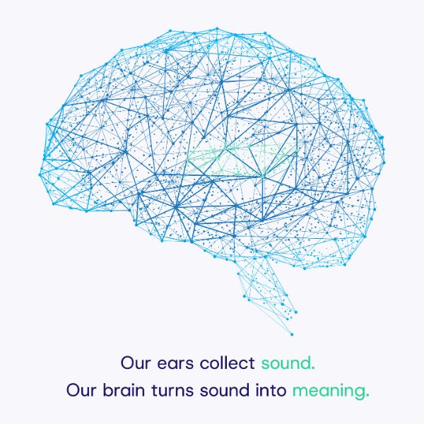 wire graphic design of the human brain