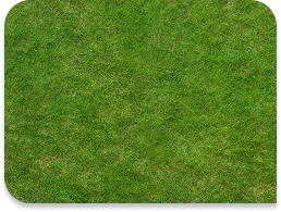 St. Augustine sod / Grass per pallet (450 sqft)