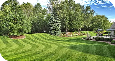 Top-Rated Sod Supplier in Orlando