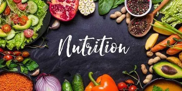 Habit Shifting Nutrition