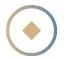 circle icon