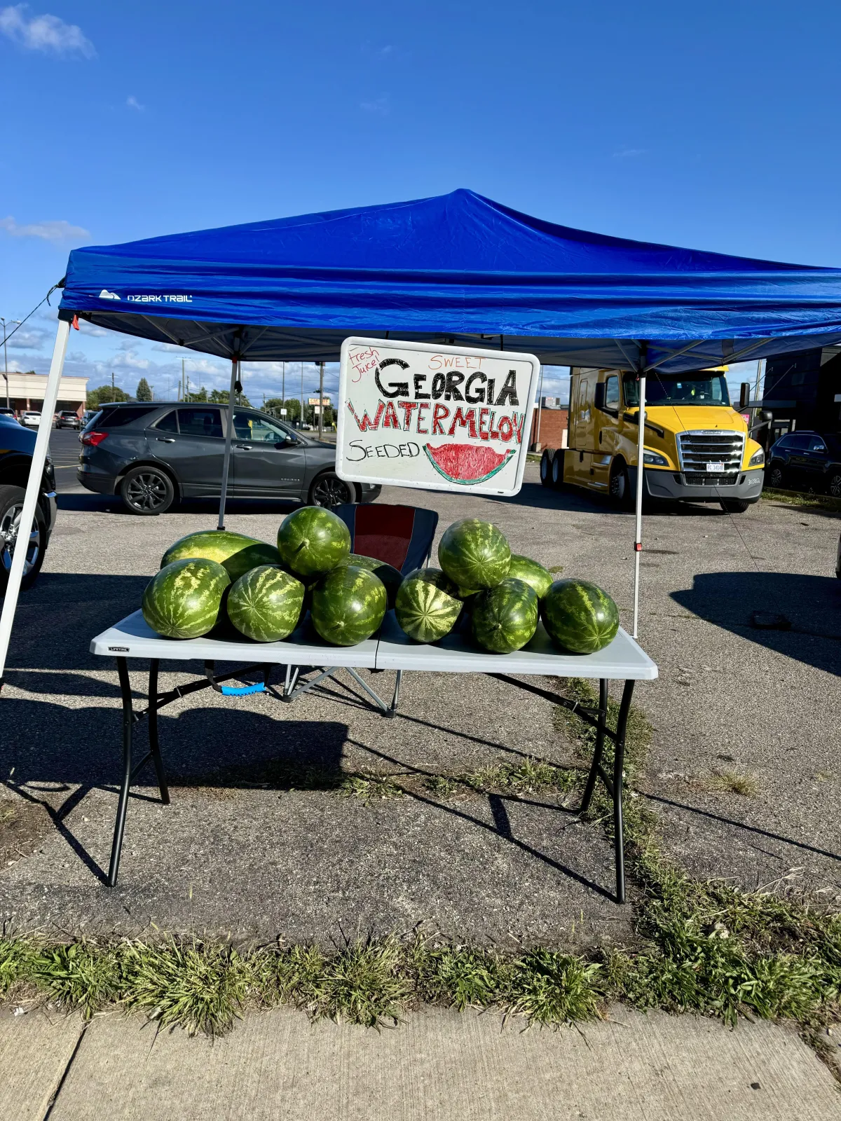 bundle of assorted vegetable lot