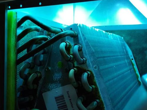 UV Light Air Purification in Saint Petersburg