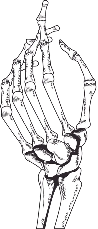 Callie skeleton hand