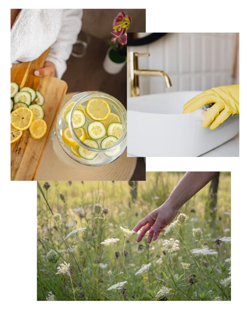 The Spring Reset: Reduce Toxic Load and Restore Energy