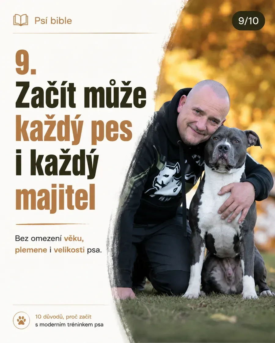 Proč stejný postup z videa nefunguje u každého psa