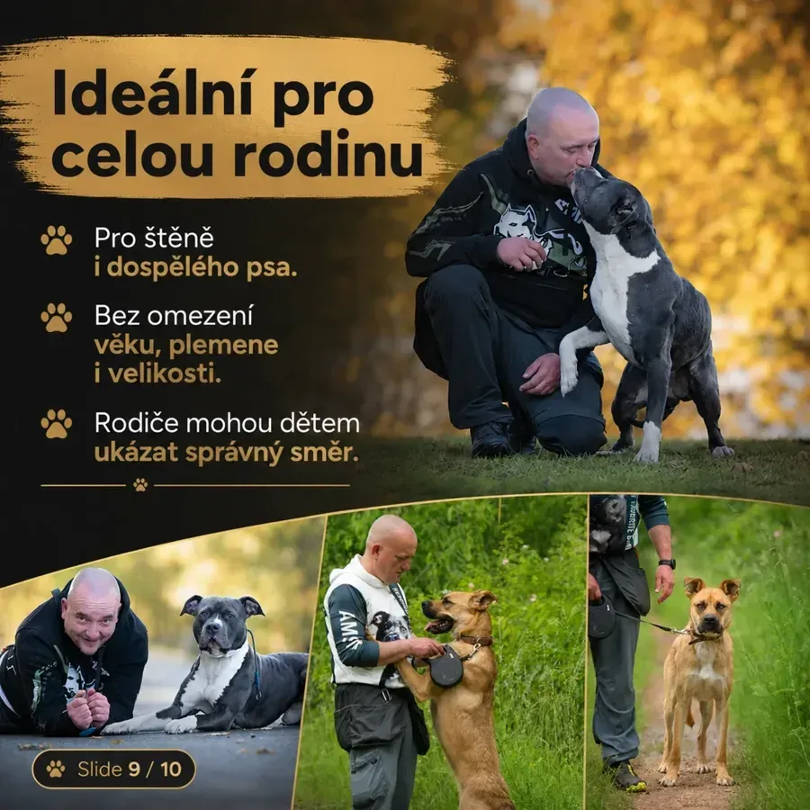 Pes není problém: co nám jeho chování skutečně sděluje