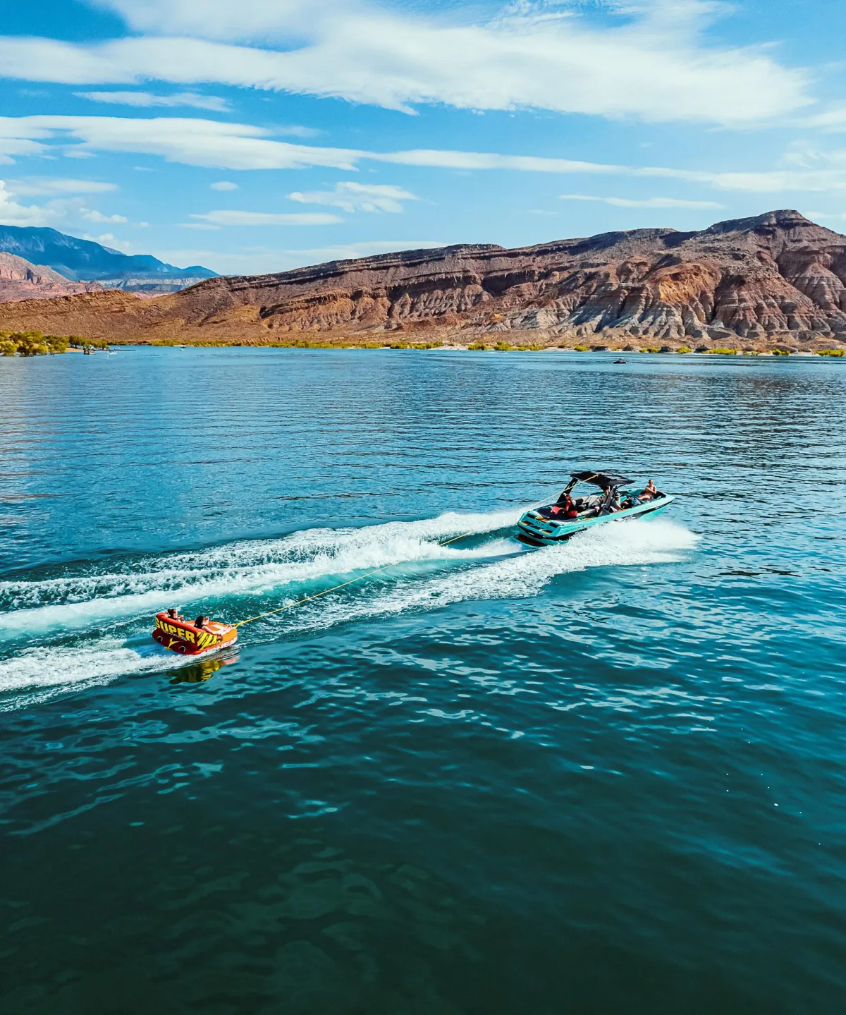 Mad Moose Memberships