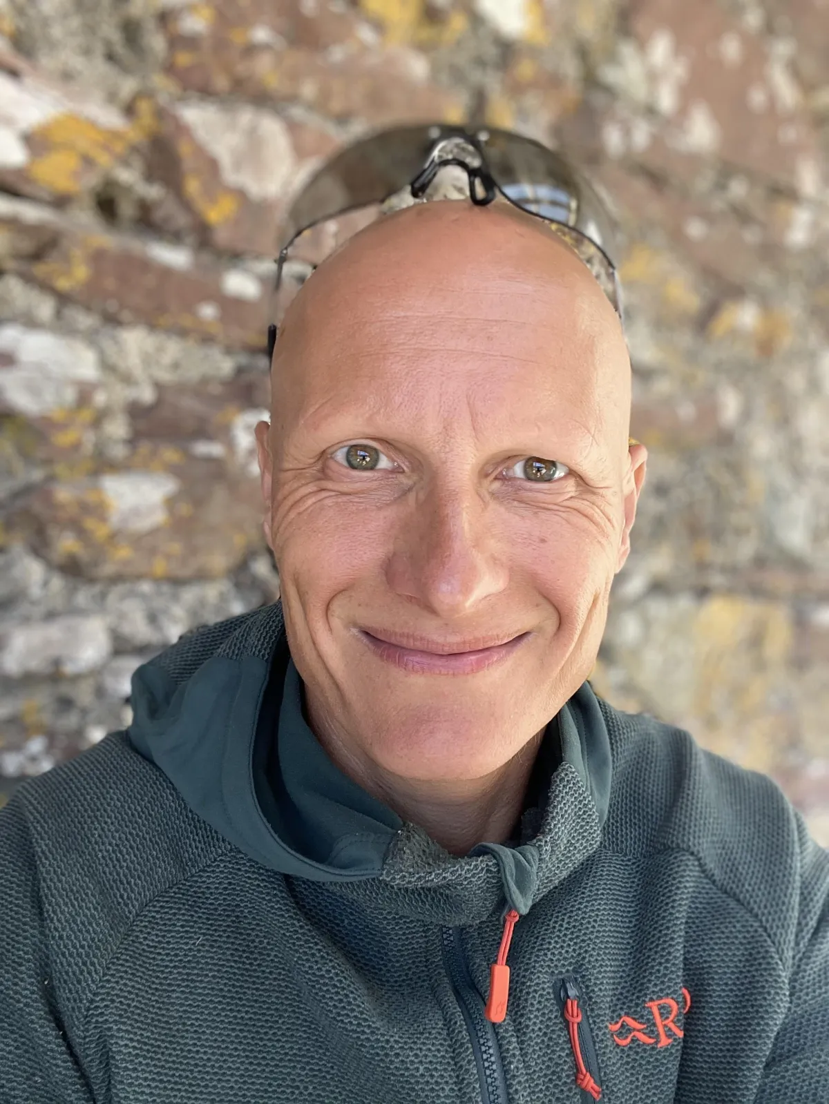 aerial photography of green trees