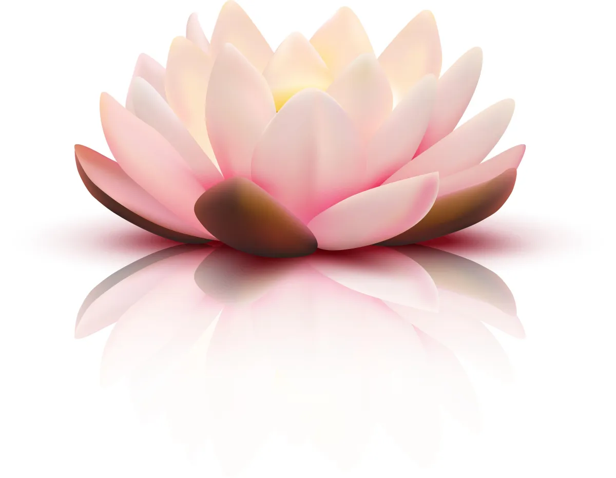 NeuU, Kate Baldwin, Transformational Programs, Fast and Effective Transformational Programs completed within 30 days, RESULTS GUARANTEED 