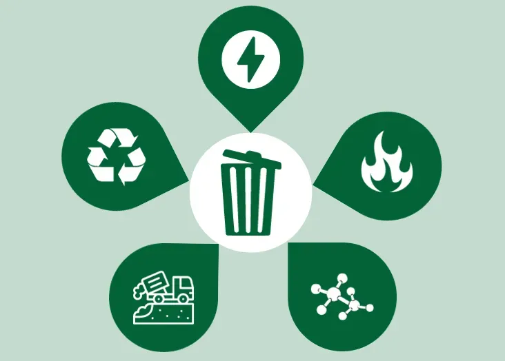 a close up of a plant with a sky in the background