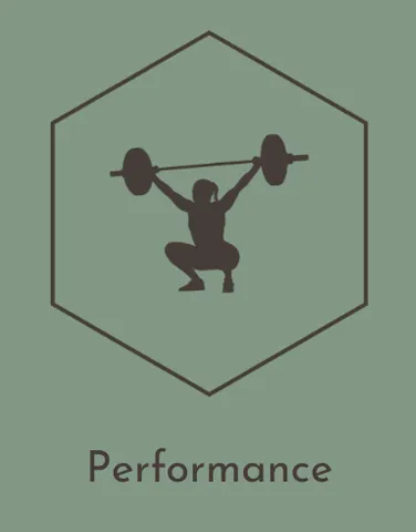 Performance