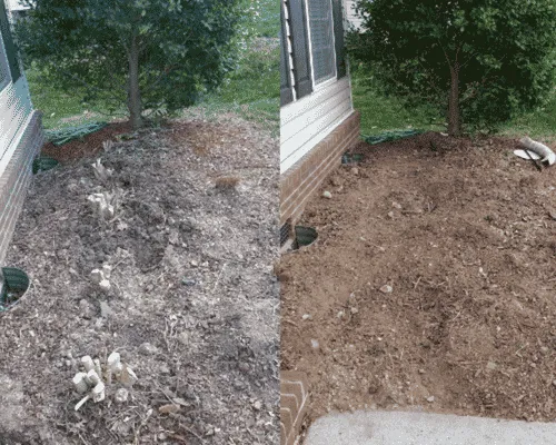 Shrub Removal in Brackenridge