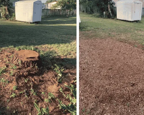 Stump Grinding in Brackenridge