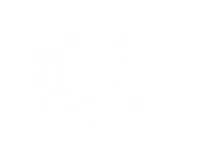 The Tummy Coach Logo