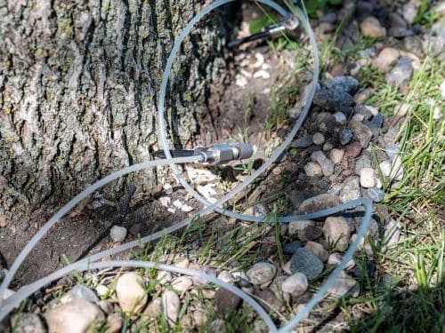 Sioux Falls Ash Borer Treatment