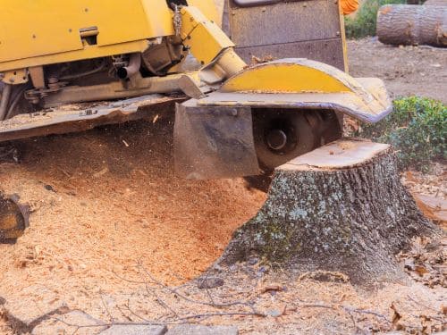 Sioux Falls Stump Grinding