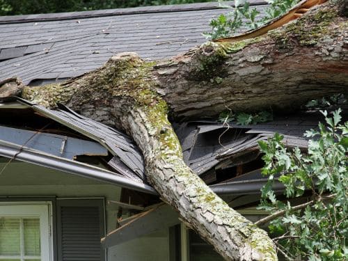 Sioux Falls Emergency Tree Service