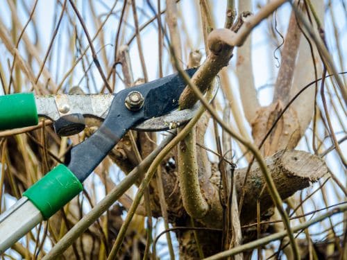 Sioux Falls Tree Pruning