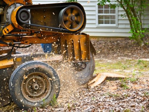 Tea Stump Grinding