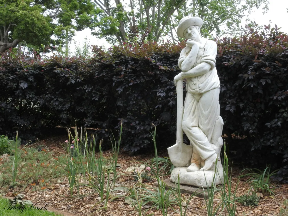 Statue in a garden in Toowoomba, a city which can benefit from business automation services enhanced by AI