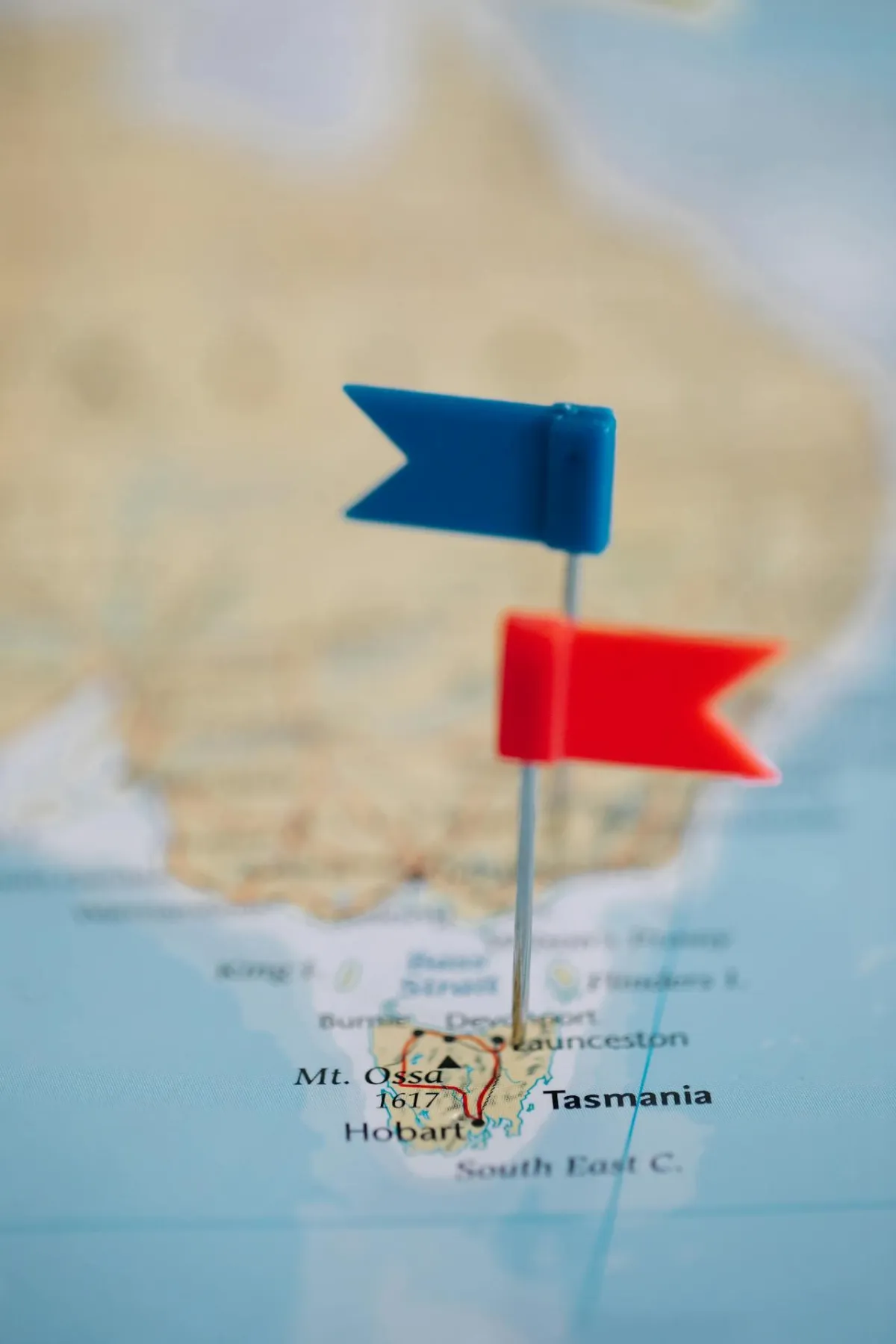 A Launceston service business using AI voice tech and a smart website to automate admin, respond faster, and grow without hiring more staff.
