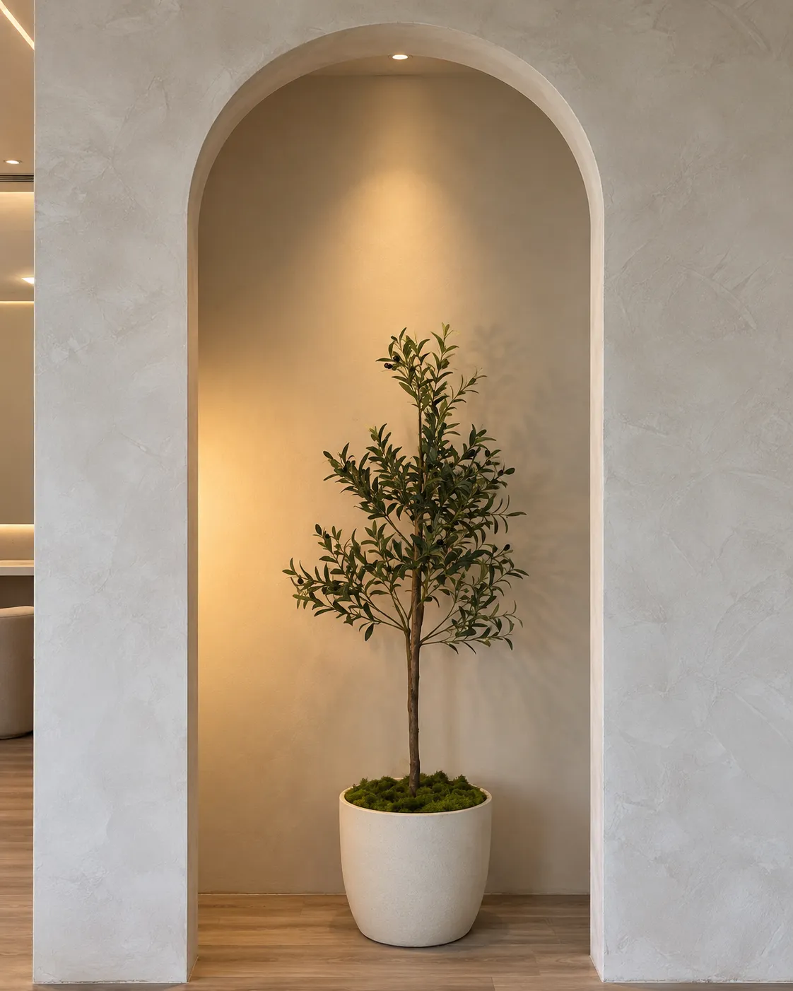 photo of arched corner with olive tree in middle