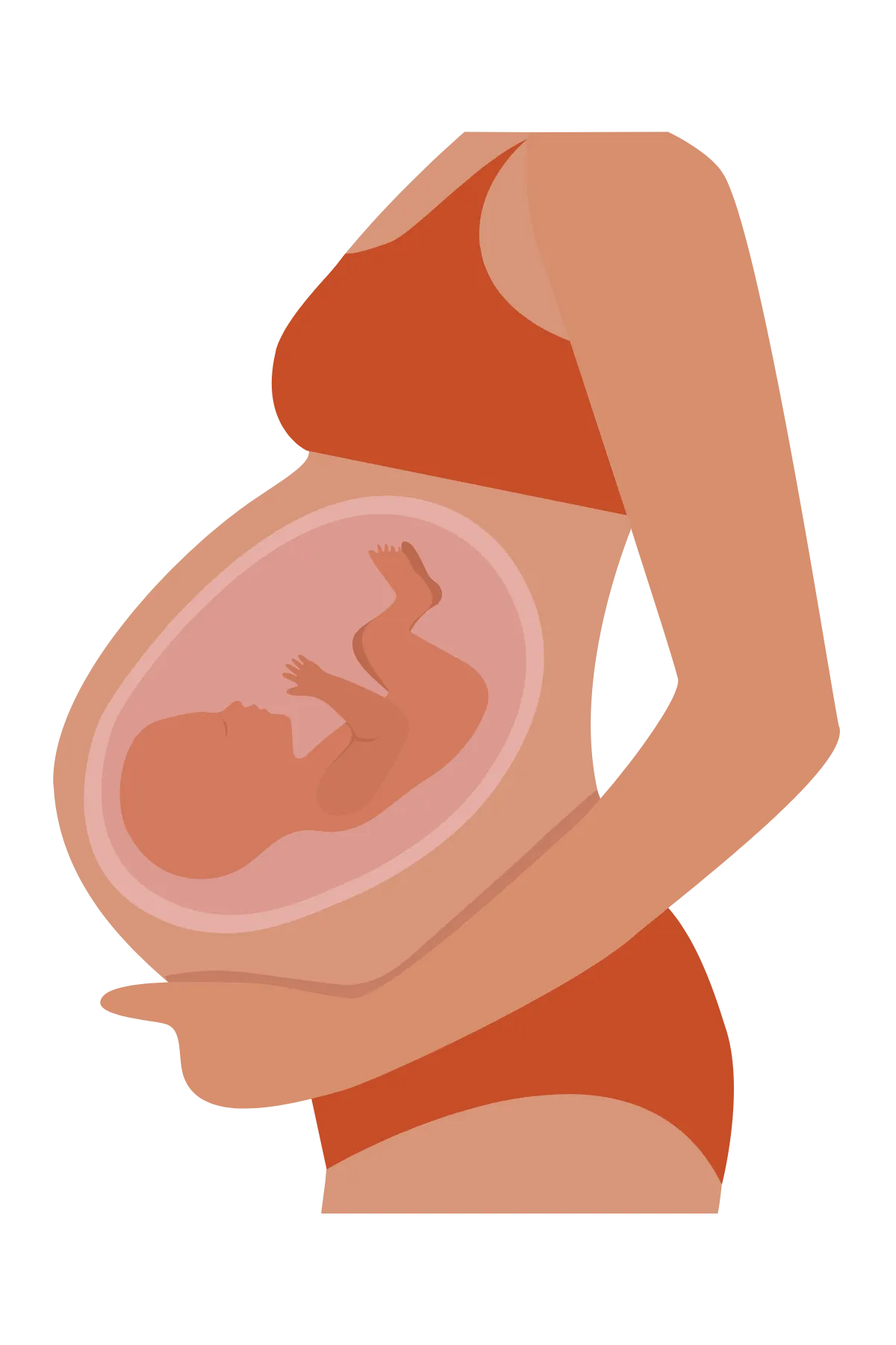 Illustration of a pregnant woman in profile wearing an orange bra and underwear, showing a fetus in the womb in a nurturing, calm pose.