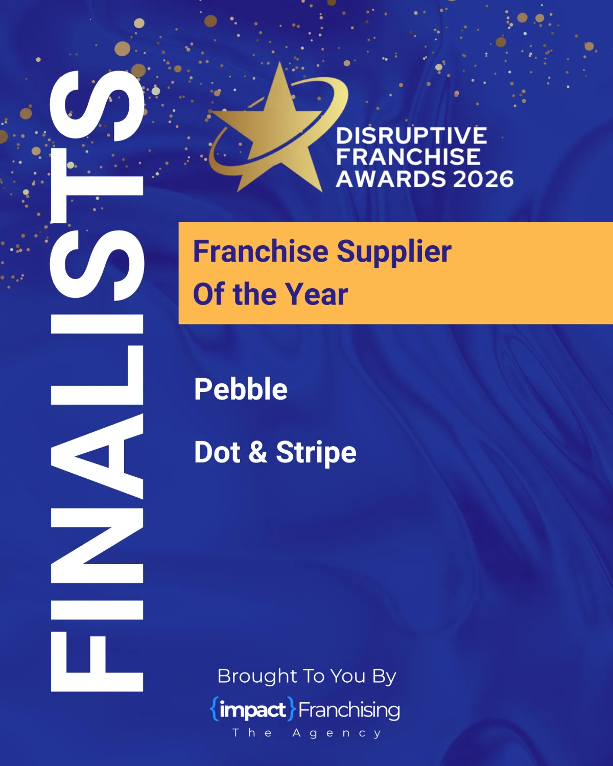 Inclusivity Champion In Franchising 2025
