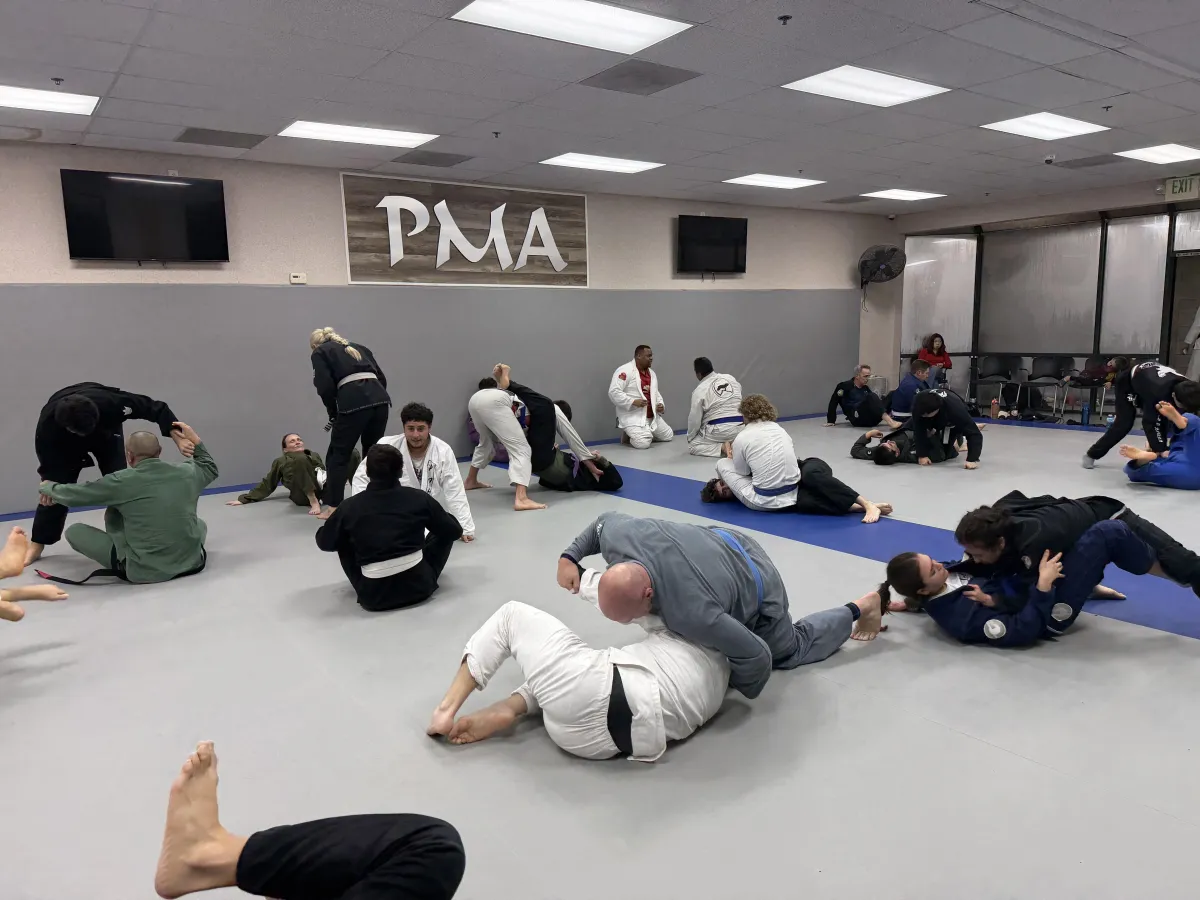 Adult Jiu-Jitsu Class in Clovis