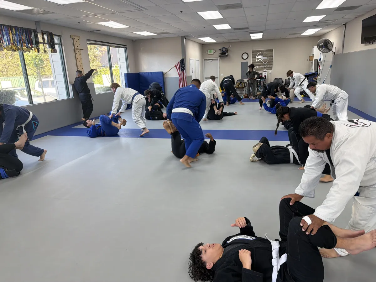 Adult BJJ Class in Clovis