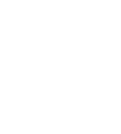 Logo Footer