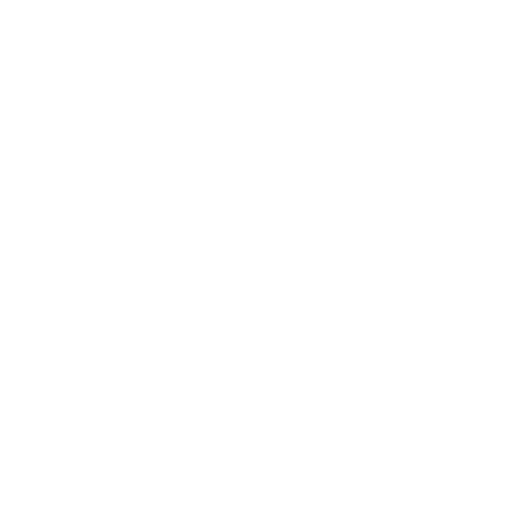 Misión