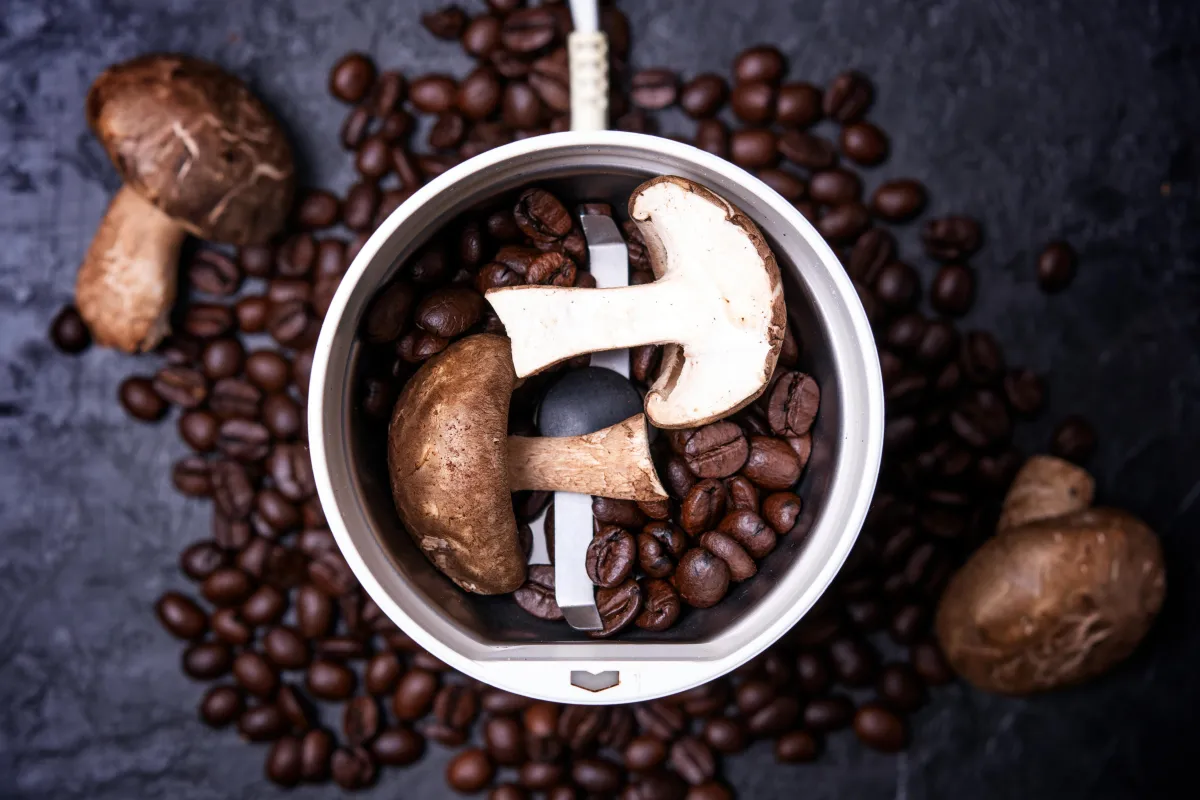 Professional mushroom coffee bar setup for a corporate wellness event in a modern NYC office.