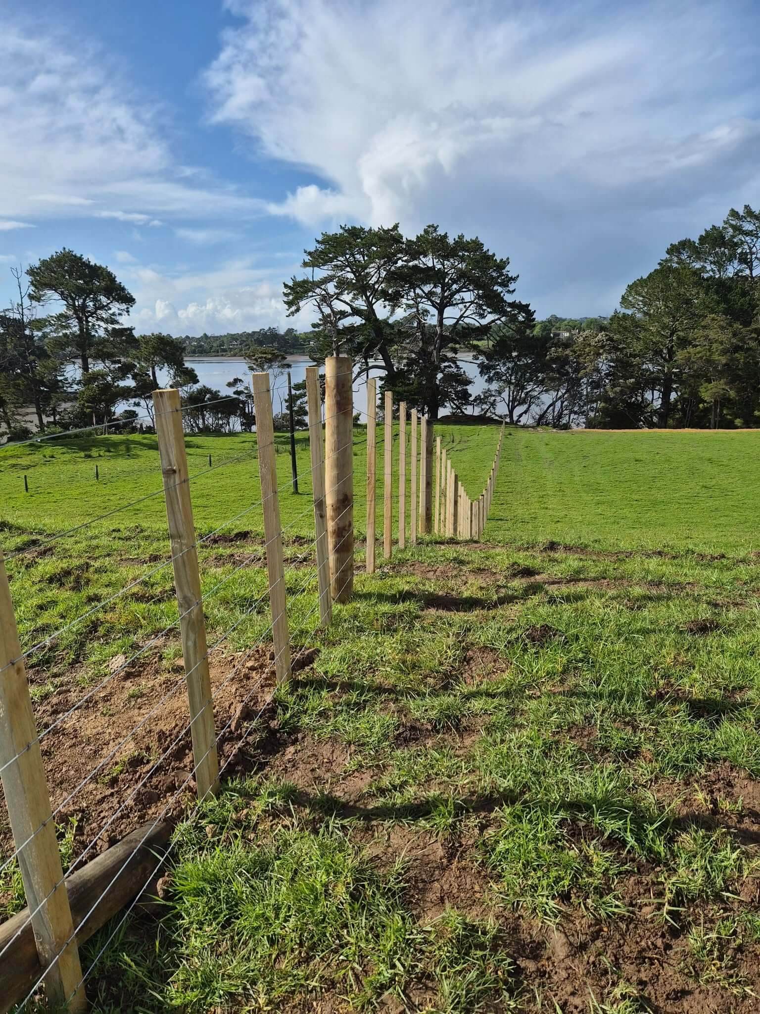 Wire and batten fencing on rural property in Muriwai Auckland