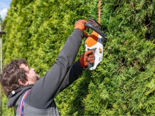 Trimming in Huntsville