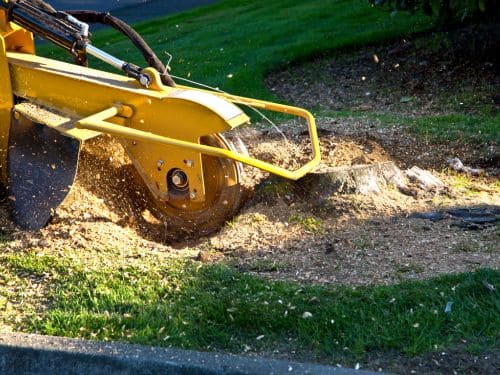 Stump Grinding in Huntsville