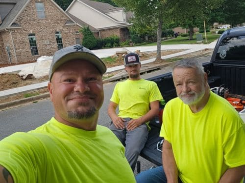 Tree Removal in Huntsville
