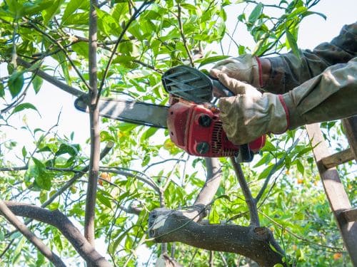 Tree Removal Huntsville