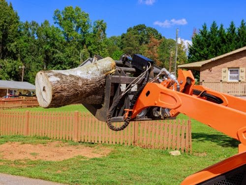 Stump Grinding Huntsville